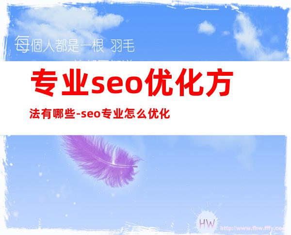 专业seo优化方法有哪些-seo专业怎么优化